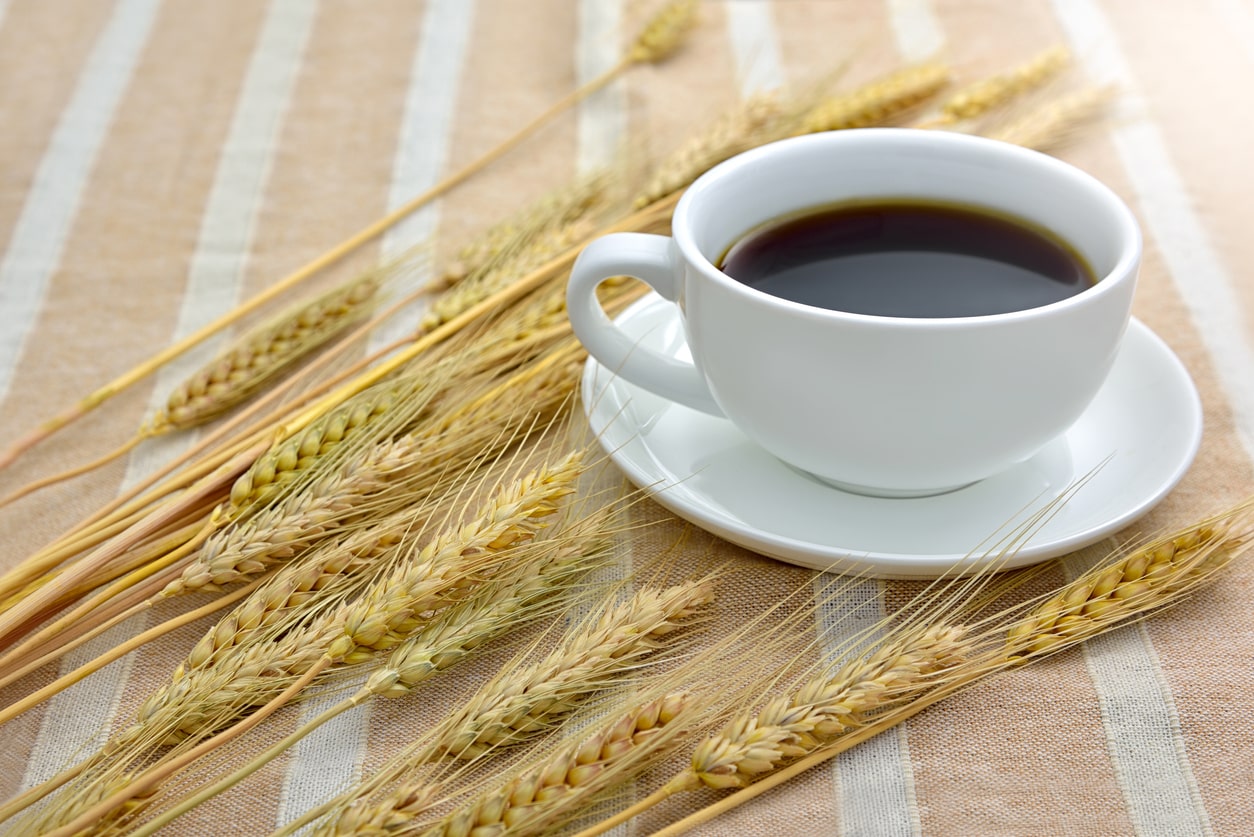 Capsule caffè compostabili: cosa sono e tutti i vantaggi