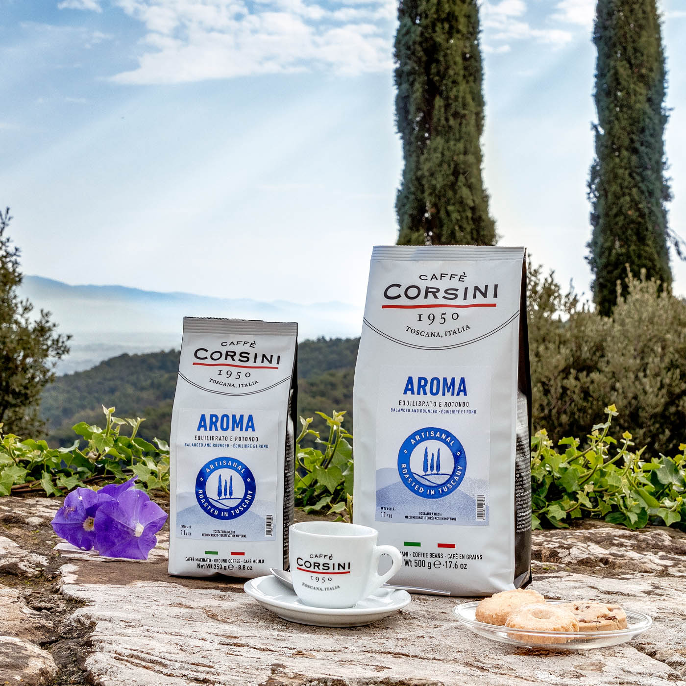 Nuova gamma di caffè, Aroma, Caffè Corsini