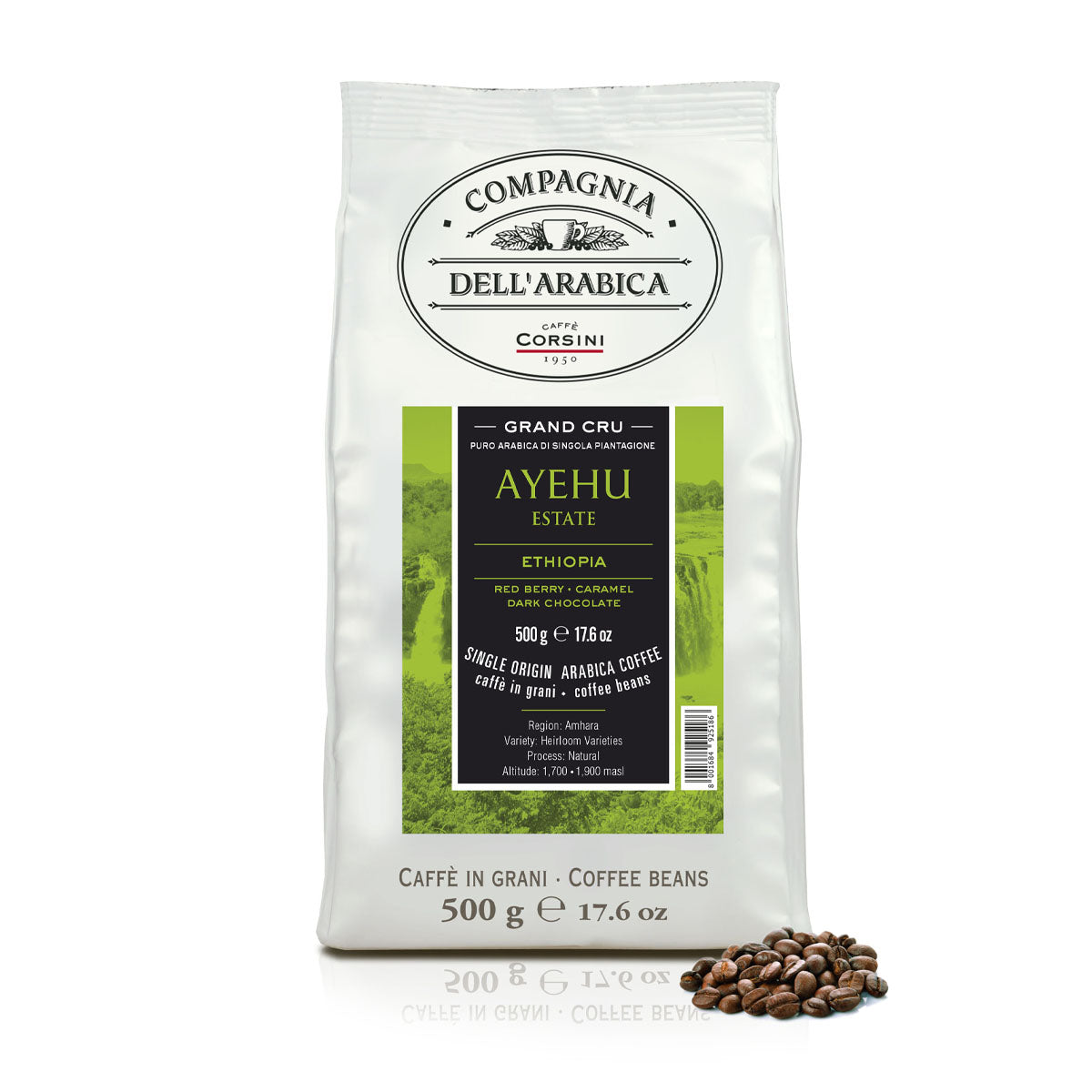 Caffè in grani | Ayehu Ethiopia | 100% Arabica | 500g | Cartone con 15 confezioni