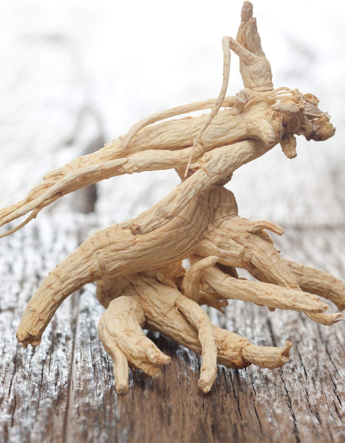 Ginseng coffee | 20 bustine monodose da 20 grammi ciascuna