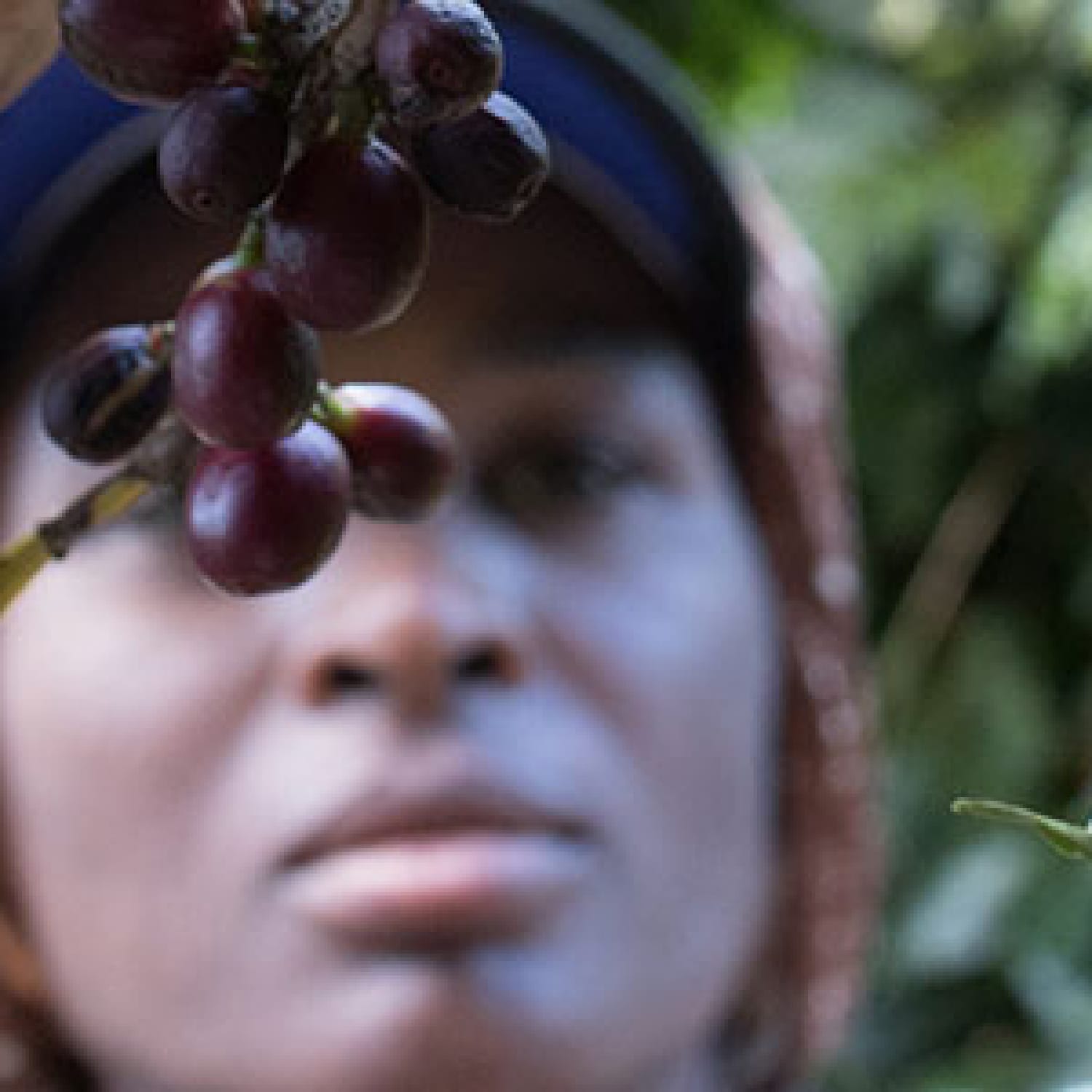 L'impegno per l'ambiente e le persone, Caffè Corsini